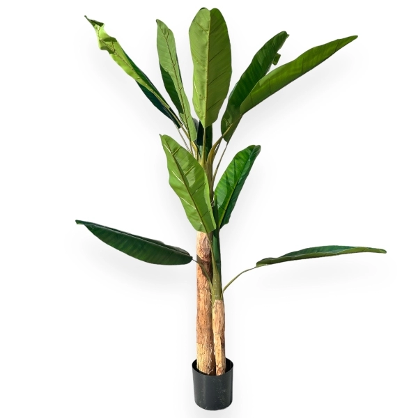 Planta Artificiala Premium Bananier 160CM